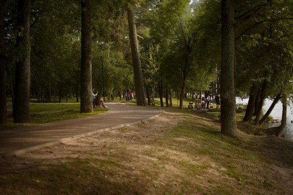 Douzaine De Stratégies De Paris Roulette