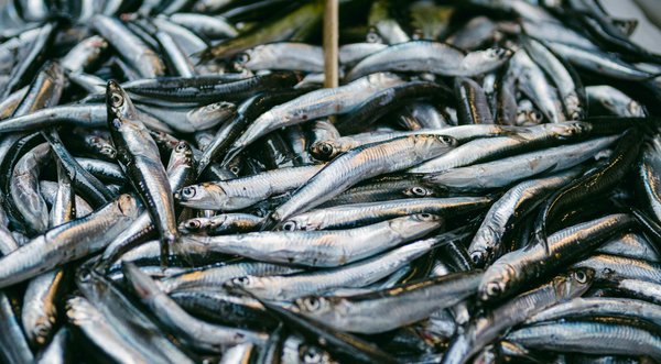 Meilleure Stratégie De Roulette à Court Terme