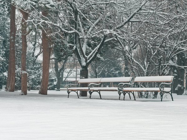 Ruby Vegas Casino No Deposit Bonus