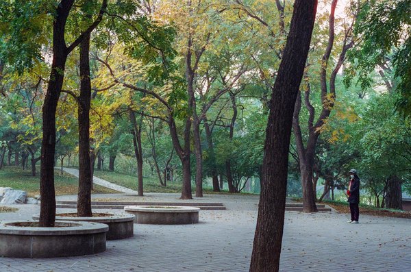 Meilleur Casino En Ligne Réel Argent 2025