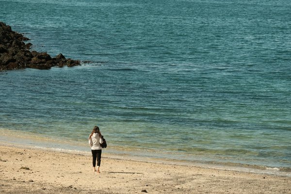 Roulette Blackjack En Ligne