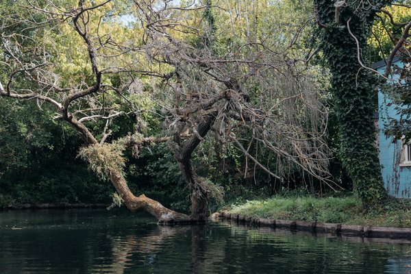 Meilleurs Machines à Sous Luxor