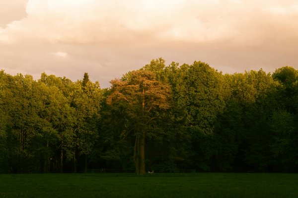 Meilleures Mises Roulette