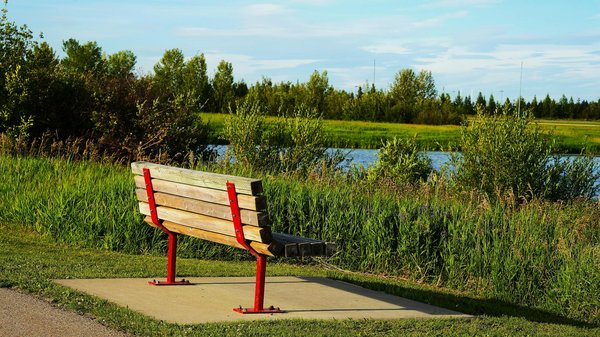 Meilleur Casino Bonus Gratuits Sans Acompte