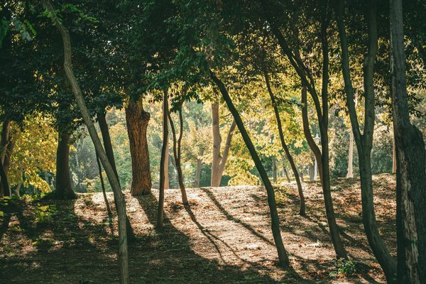 Tirage Loto Aujourd Hui En Direct