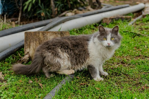 Ultra Casino No Deposit Bonus