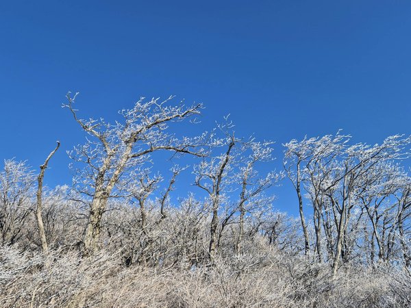 Meilleurs Chiffres à Jouer Sur La Roulette