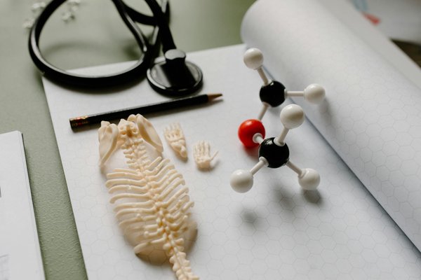 Options De Paiement Acceptées à Casinos En Ligne