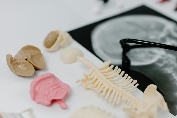 Machines à Sous Sans Argent