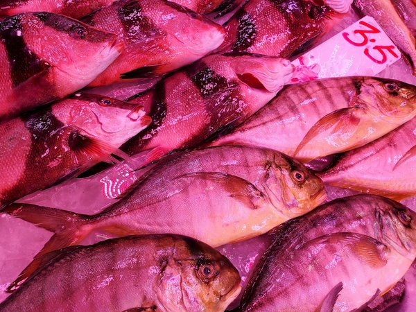 Résultat Keno D Aujourd Hui