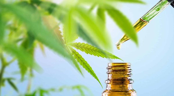 Quelle est l'utilité d'utiliser de meilleures huiles CBD ?